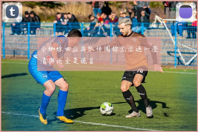 小蜘蛛回应离队传闻称无法逐一澄清舆论全是谎言
