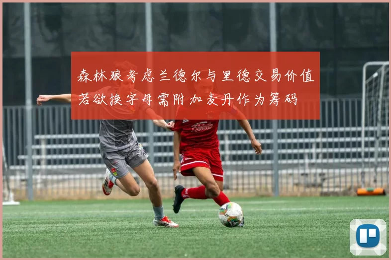 森林狼考虑兰德尔与里德交易价值若欲换字母需附加麦丹作为筹码